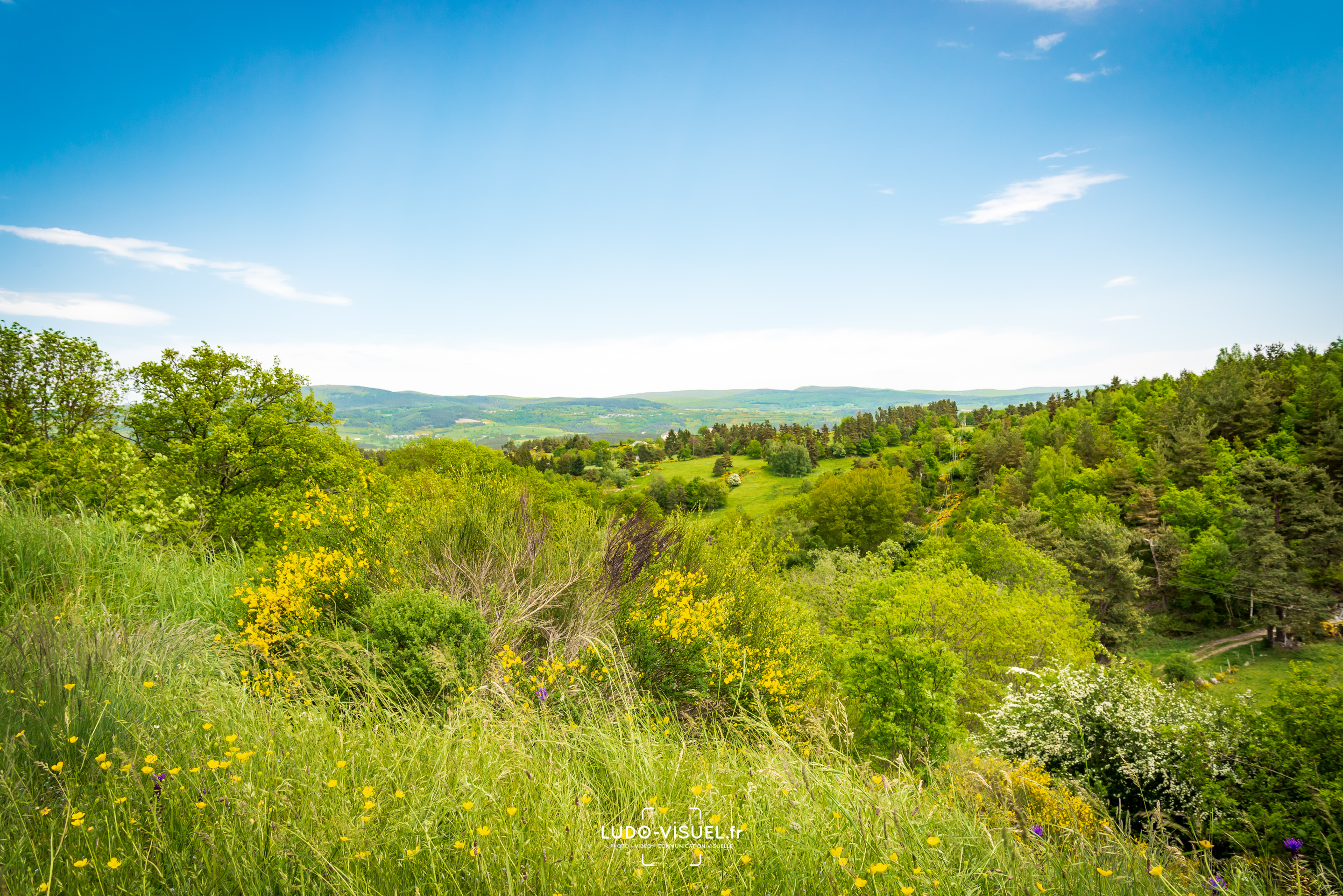 Vue sur la Margeride depuis Blavignac