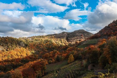 l'automne dans les Cévennes