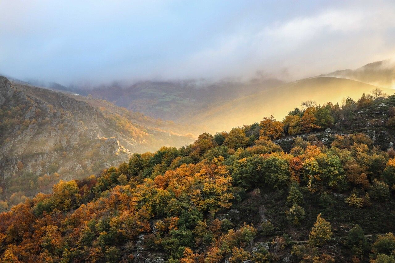 couleurs d'automne