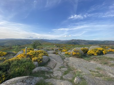 Cham de l'hermet