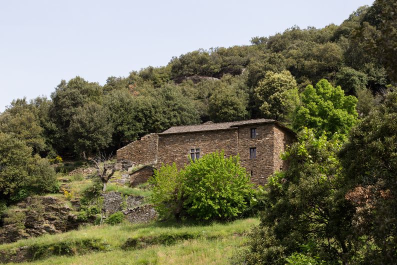 Mas Chaptal, La Roquette