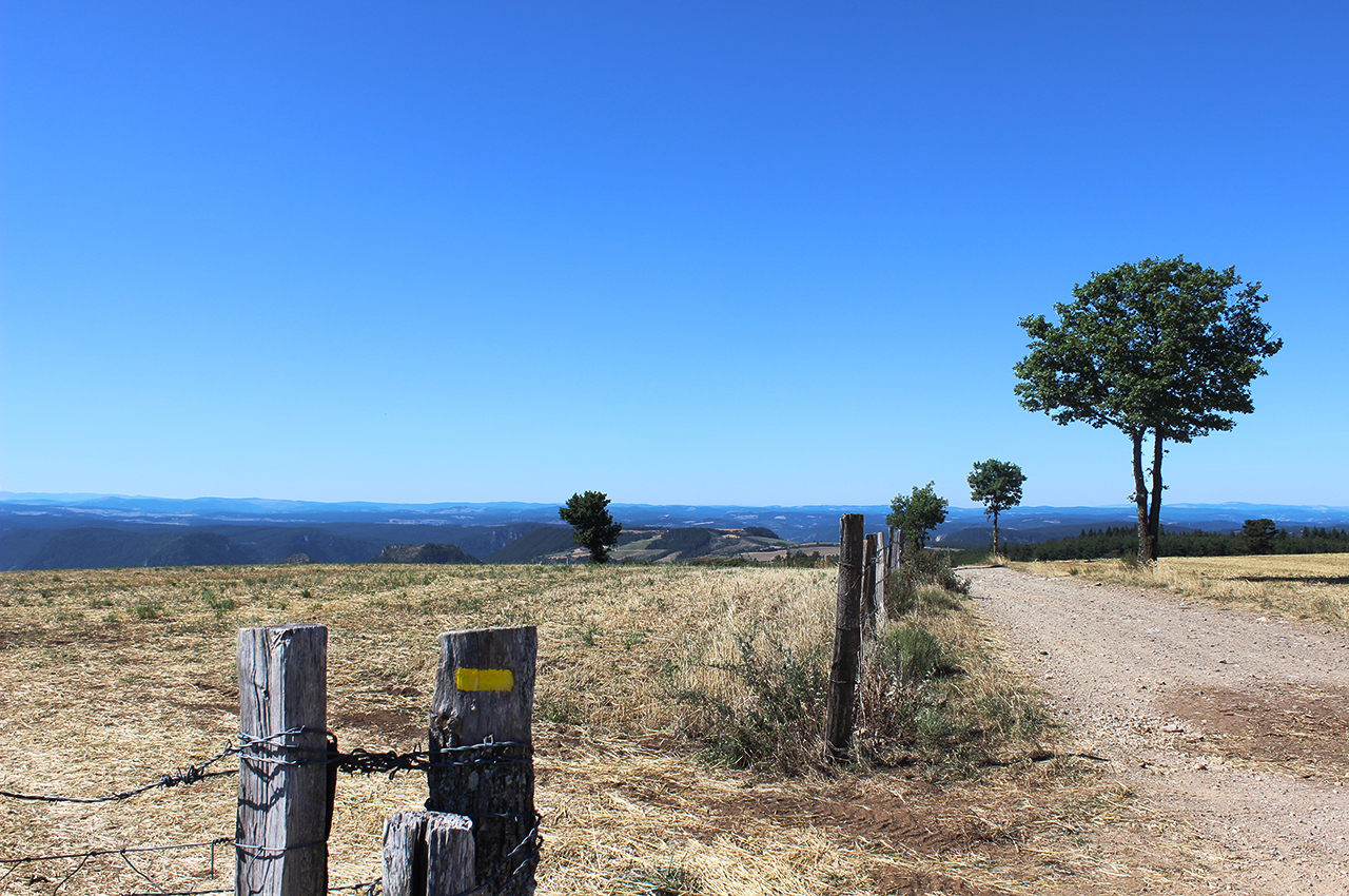 Vue sur le Sud-Ouest depuis la draille de la Boulaine