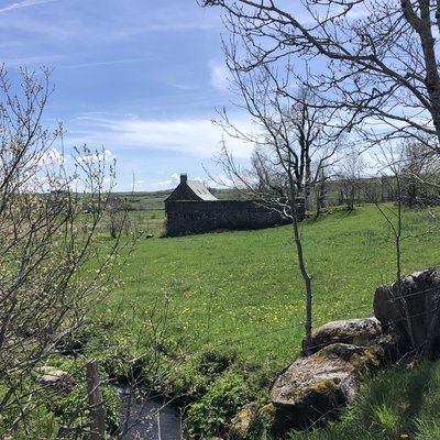 prairie et corps de ferme Aubrac