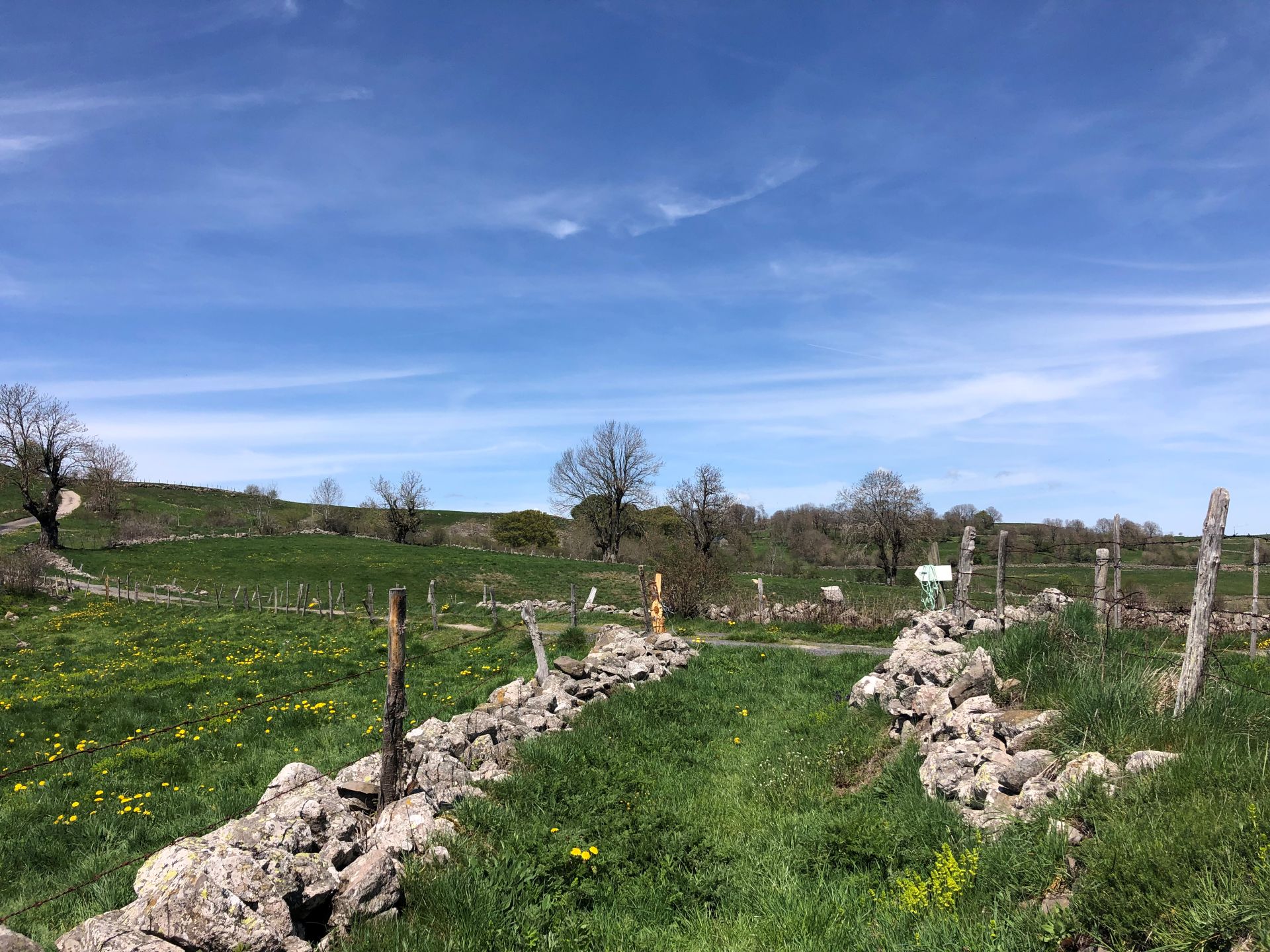 Chemin dans les pâturages