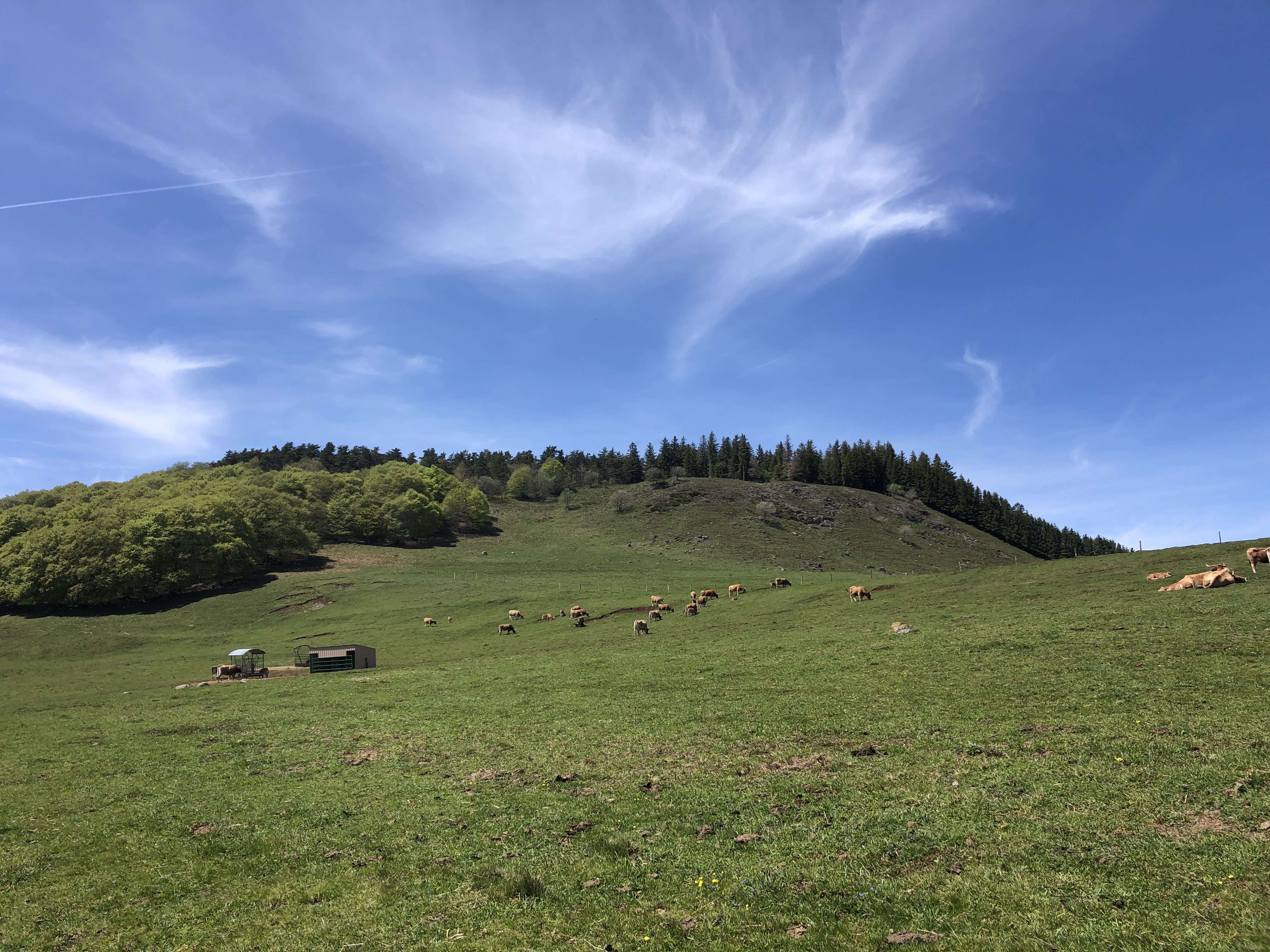 paysage de l'Aubrac