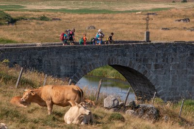 Le pont de Marchastel