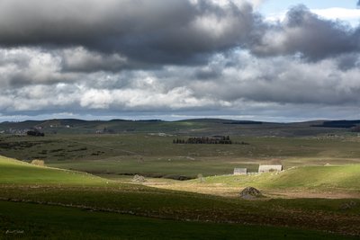 Le Haut-plateau de l'Aubrac avec ses bandes boisées