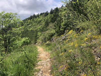 Sentier sur le causse