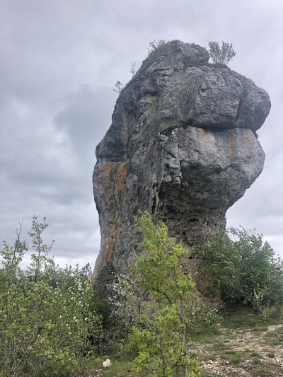 Lion de Balsièges