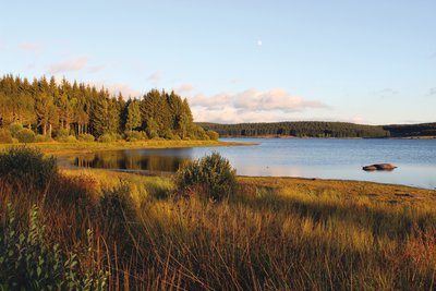 Le lac Charpal en Margeride, Lozère