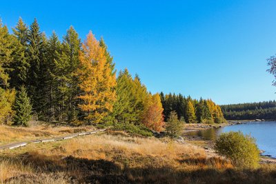 Lac de Charpal