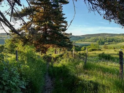 Sentier en Margeride