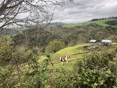 Vue du parcours