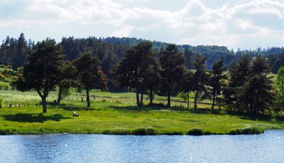 Le berges du Lac du Moulinet