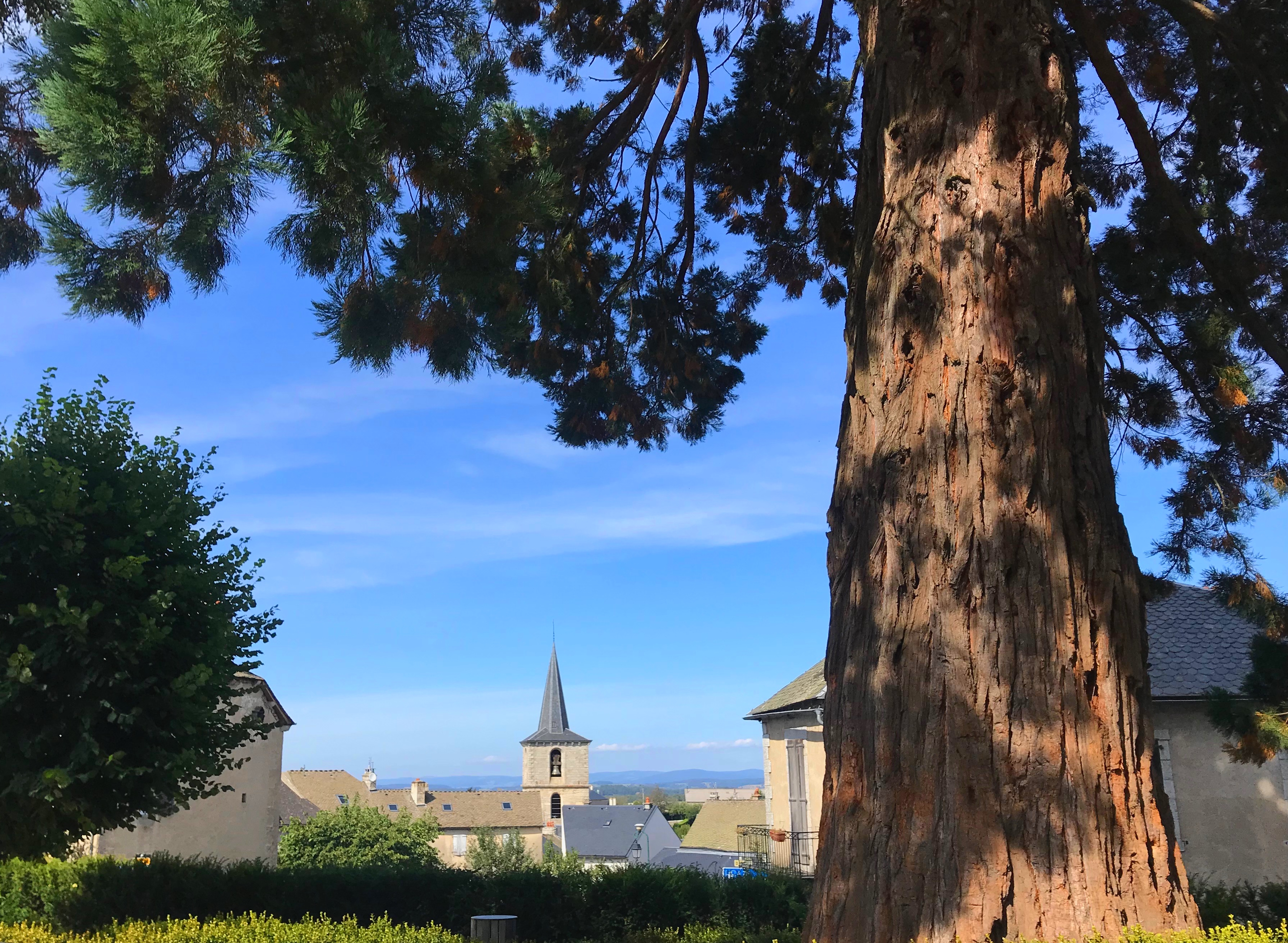 Panorama sur le plateau de l'Aubrac