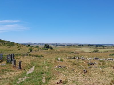 Panorama sur le plateau de l'Aubrac