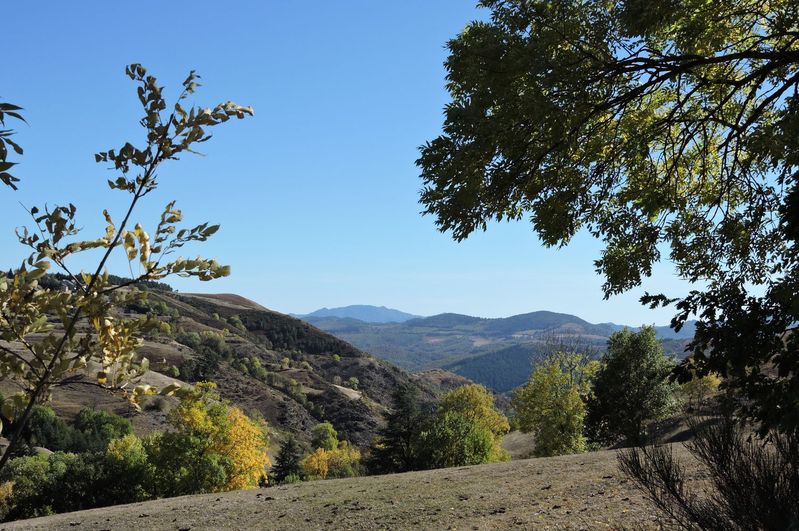 Vue sur les Cévennes