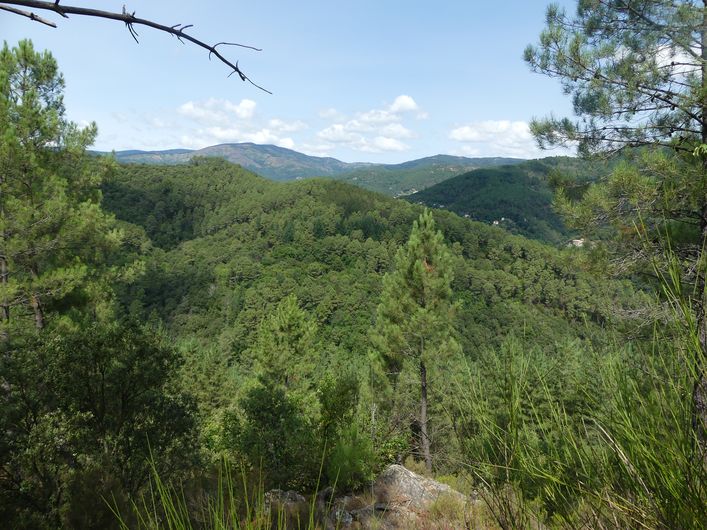 Vue sur le Signal de Ventalon