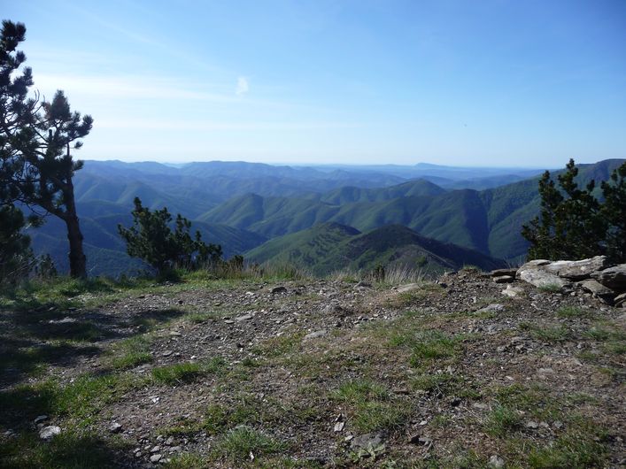 Le sommet de l'Aigoual vue sur Valleraugue