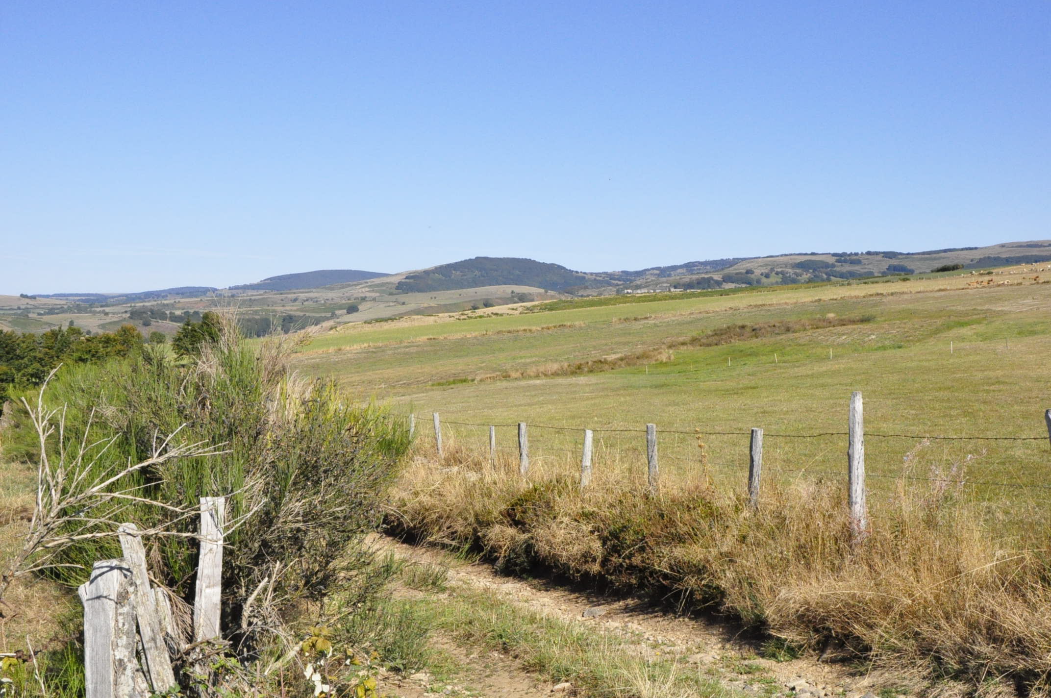 Les contreforts de l'Aubrac