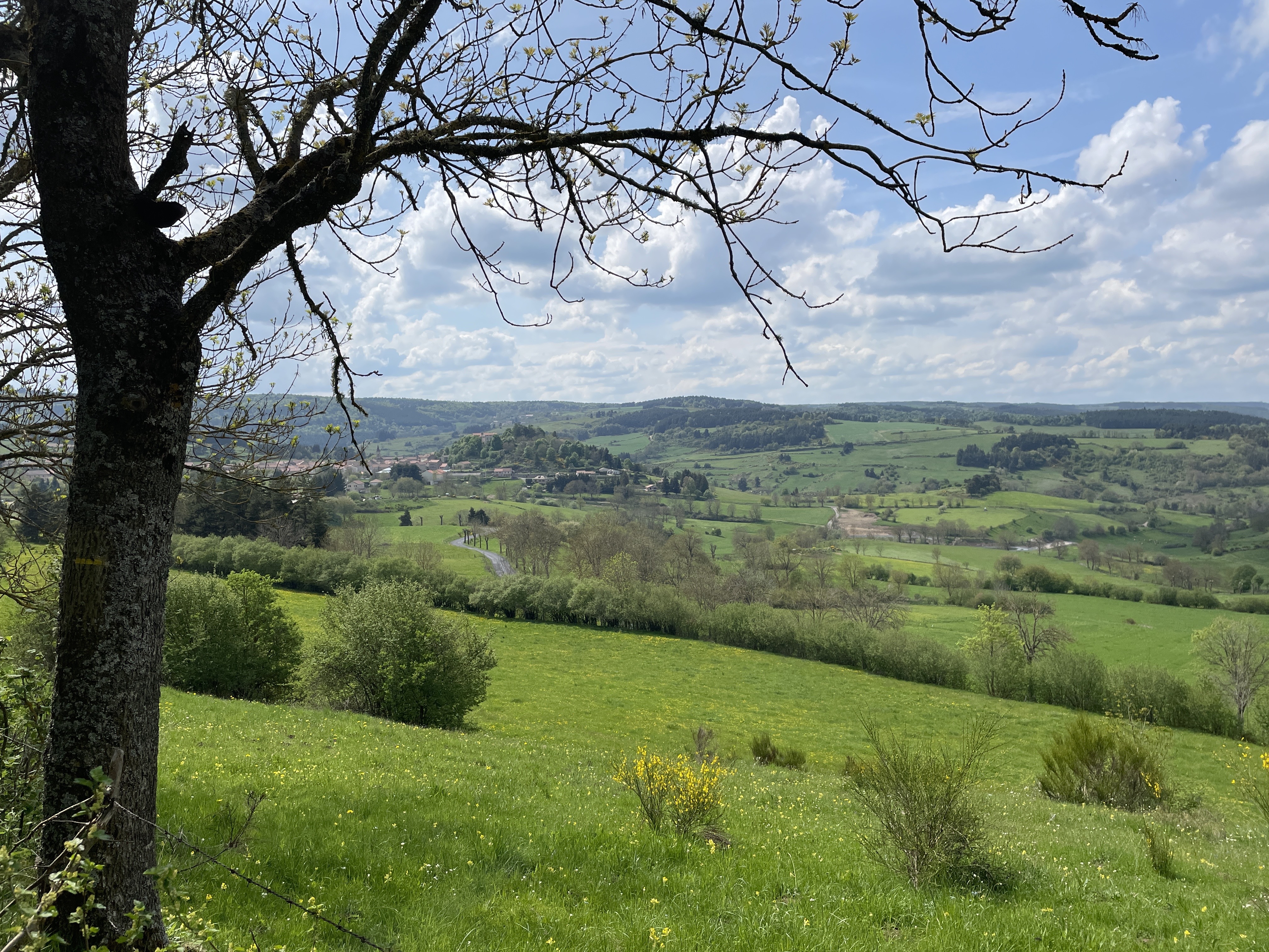 Vue sur Chambon le Chateau