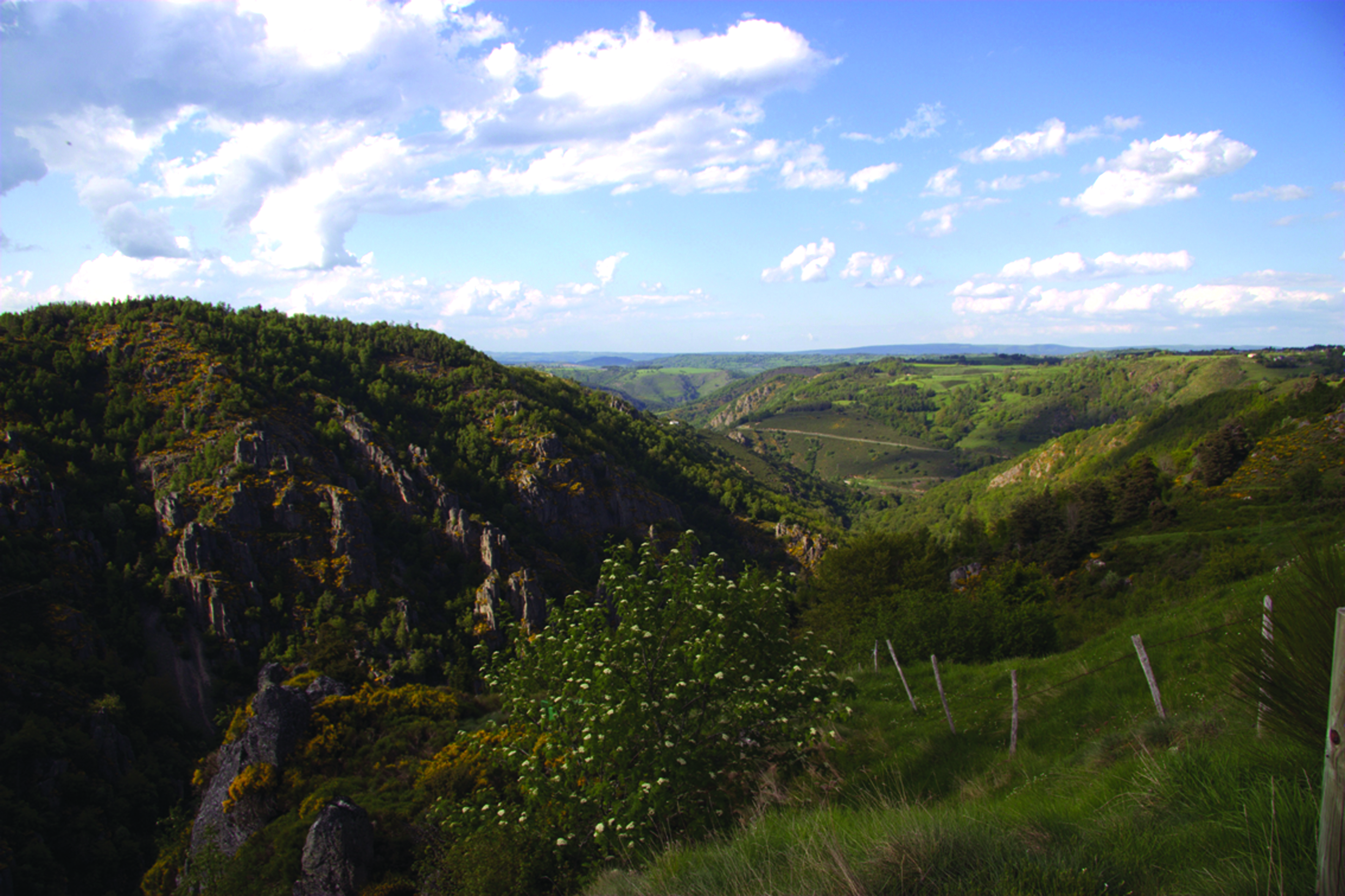Les gorges du Bès