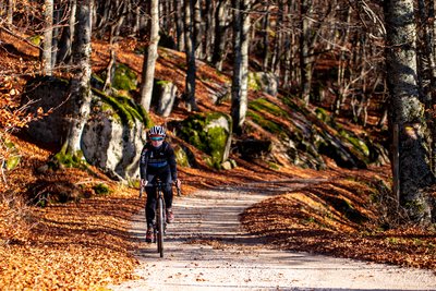 Gravel à travers une forêt d'automne