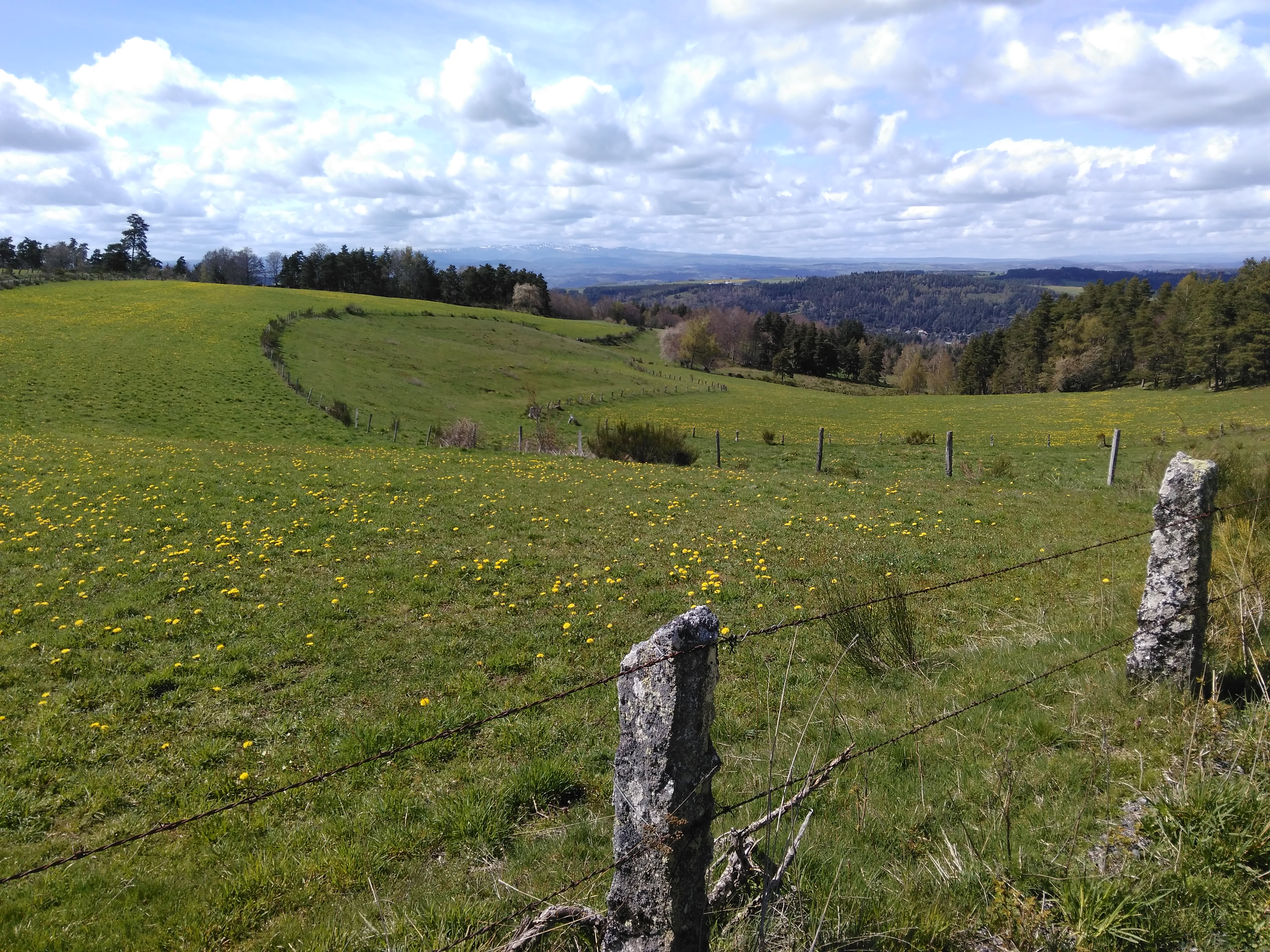 Les perspectives sur le Plomb du Cantal