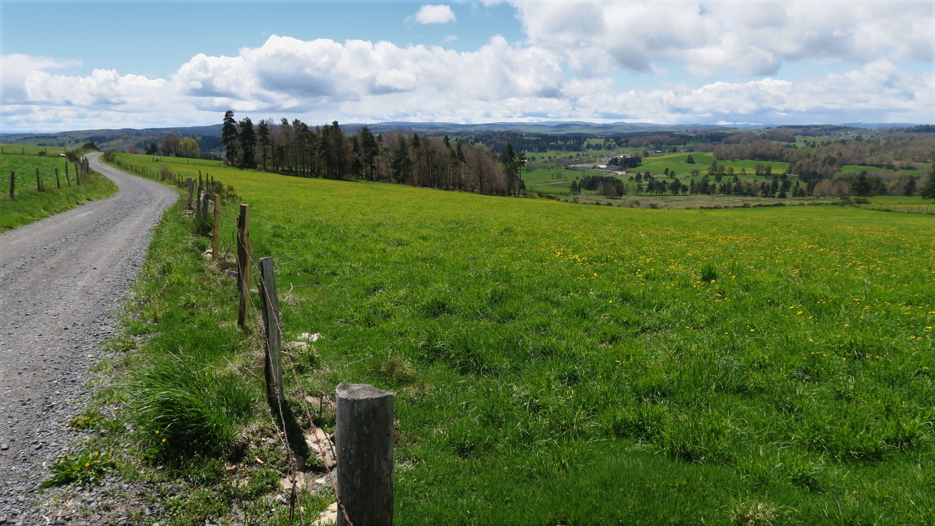 Les dernières vue sur le plateau de l'Aubrac avant de rejoindre les abords de la Margeride